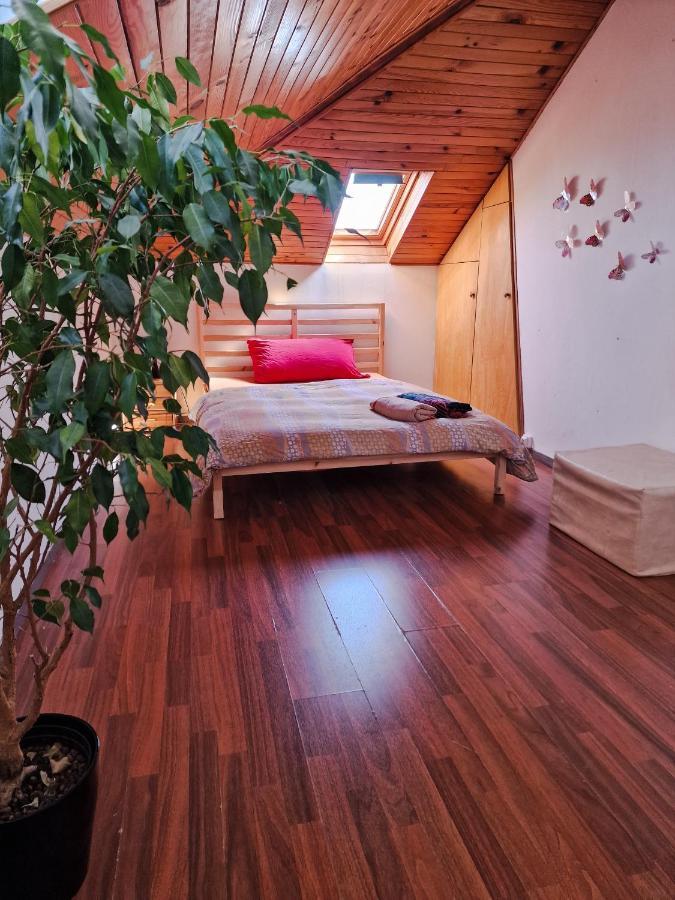 Beautiful Aparment Next To The Border 4 Room Saint-Louis  Bagian luar foto